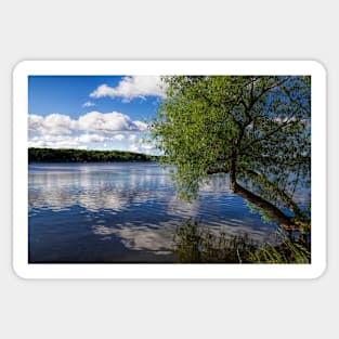 Beautiful Rice Lake Sticker